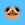 fud-the-pug