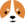 welsh-corgi-coin